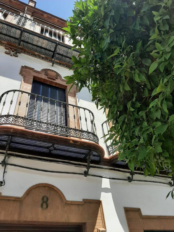 'Suite Magallanes' Apartamento Cool En El Verdadero Centro De Sevilla Eksteriør billede